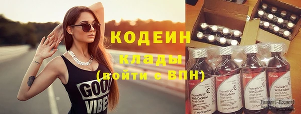 прущие грибы Горнозаводск