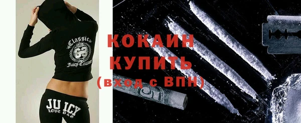 прущие грибы Горнозаводск