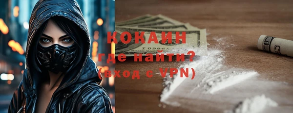 амф Горняк