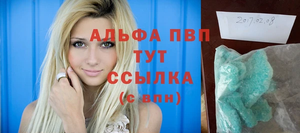 прущие грибы Горнозаводск