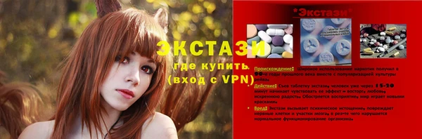 амф Горняк