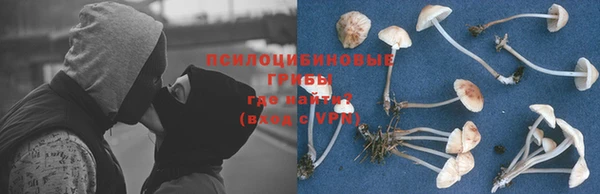 амф Горняк