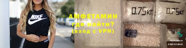 амф Горняк