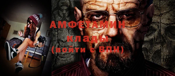 амф Горняк