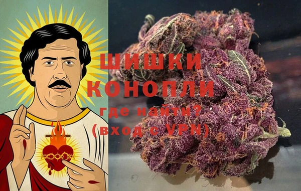 прущие грибы Горнозаводск