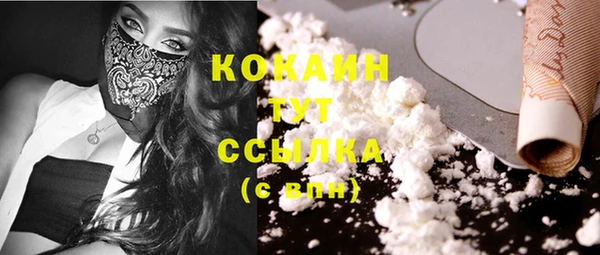 индика Нижневартовск