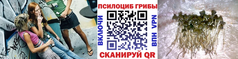 даркнет сайт  Владимир  нарко площадка наркотические препараты  Псилоцибиновые грибы мицелий  ОМГ ОМГ рабочий сайт 