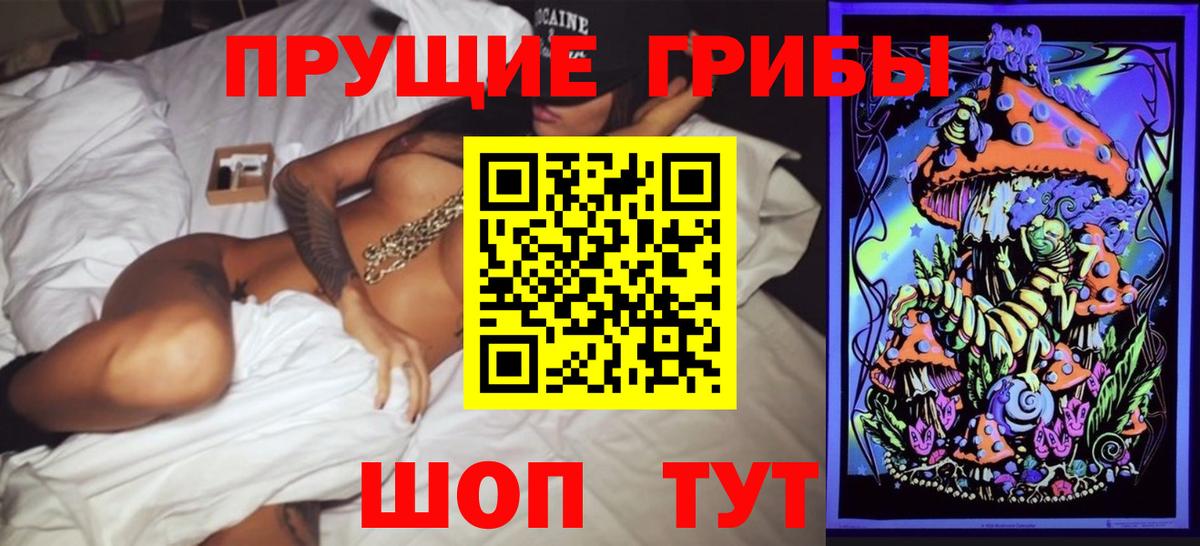 Псилоцибиновые грибы прущие грибы  Владимир 
