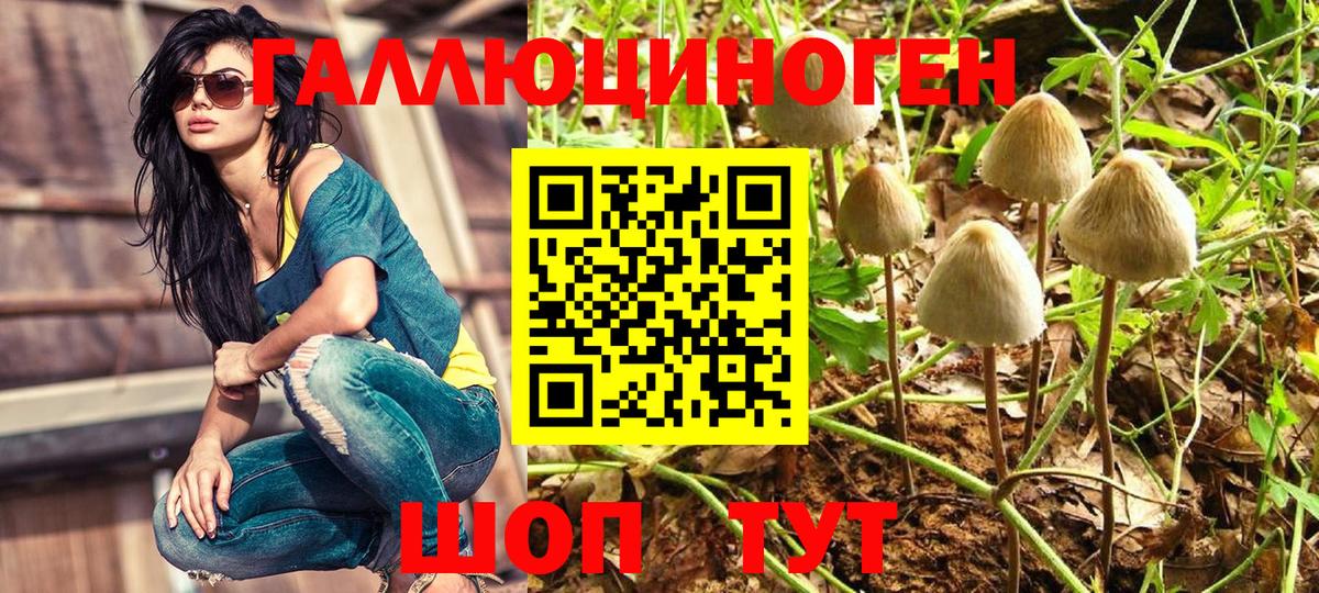 Галлюциногенные грибы мухоморы  Вход с VPN  купить   Псилоцибиновые грибы мухоморы  Владимир 