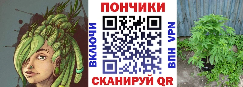 купить наркотики цена  Владимир  Бошки Шишки гибрид 